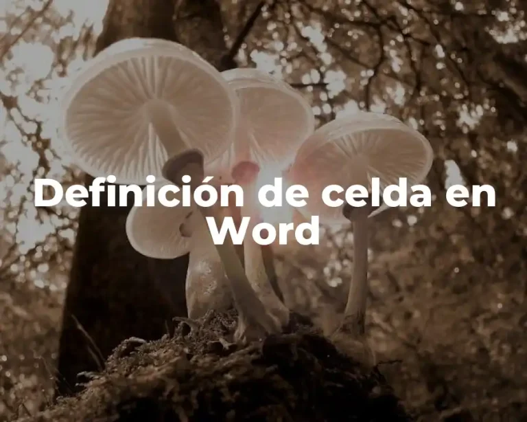 Definición de celda en Word