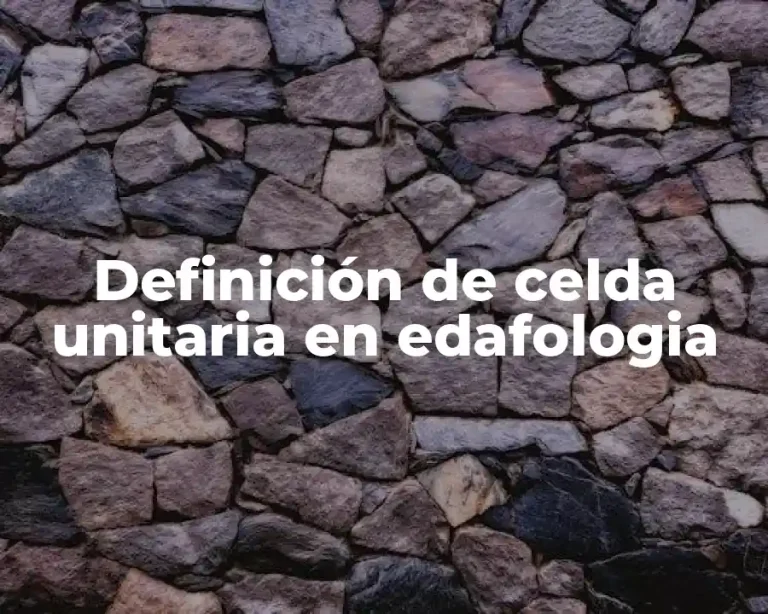 Definición de celda unitaria en edafologia