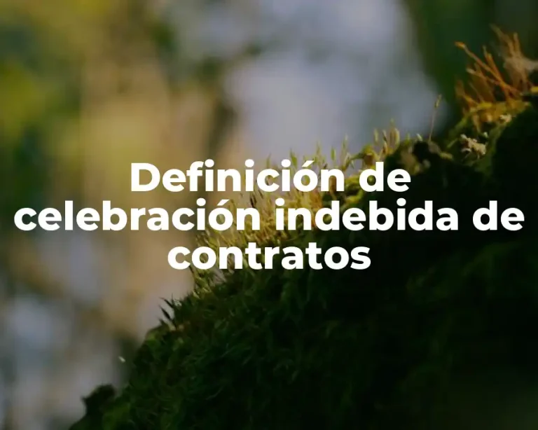 Definición de celebración indebida de contratos