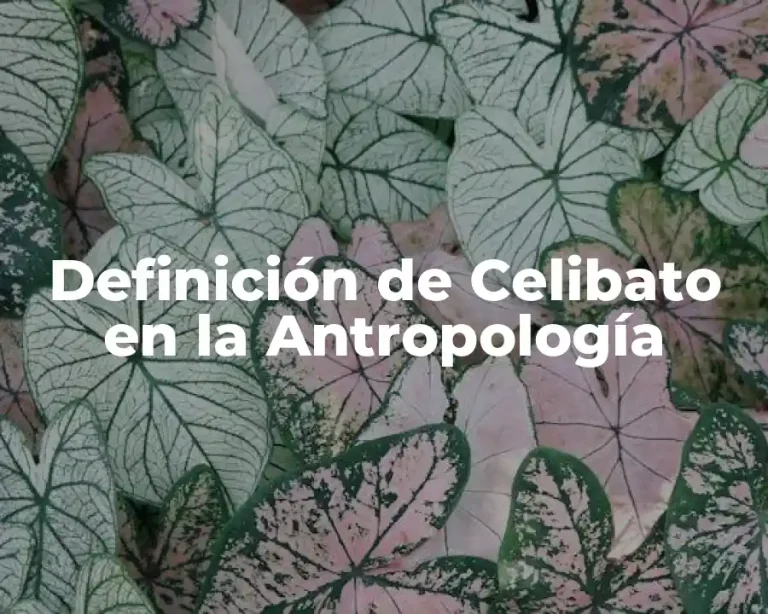 Definición de Celibato en la Antropología