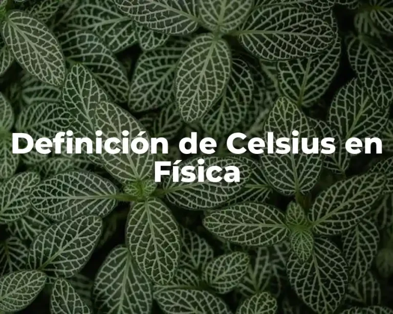 Definición de Celsius en Física