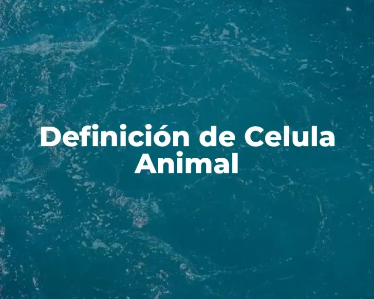Definición de Celula Animal