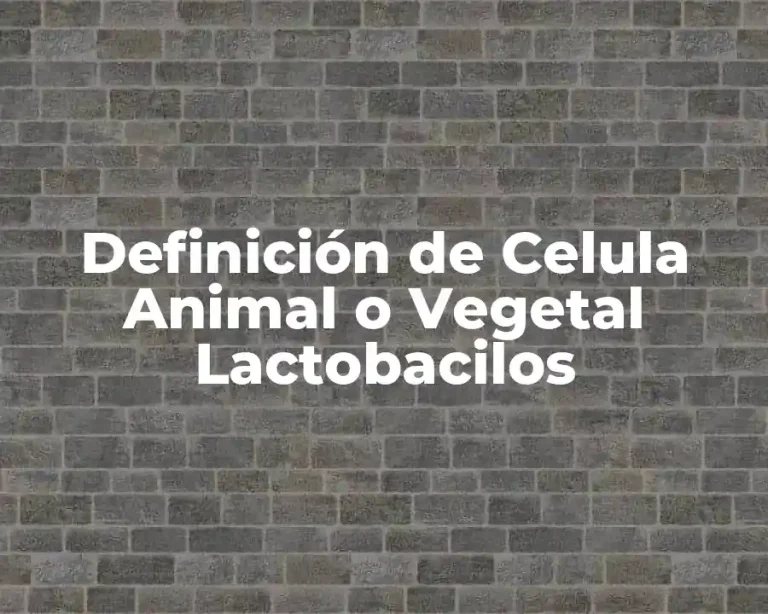 Definición de Celula Animal o Vegetal Lactobacilos