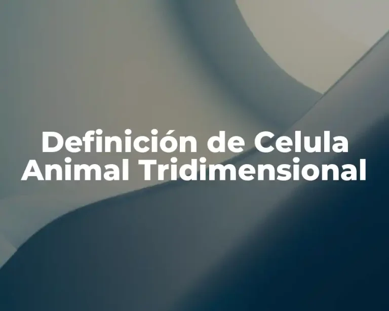 Definición de Celula Animal Tridimensional