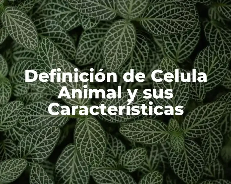 Definición de Celula Animal y sus Características