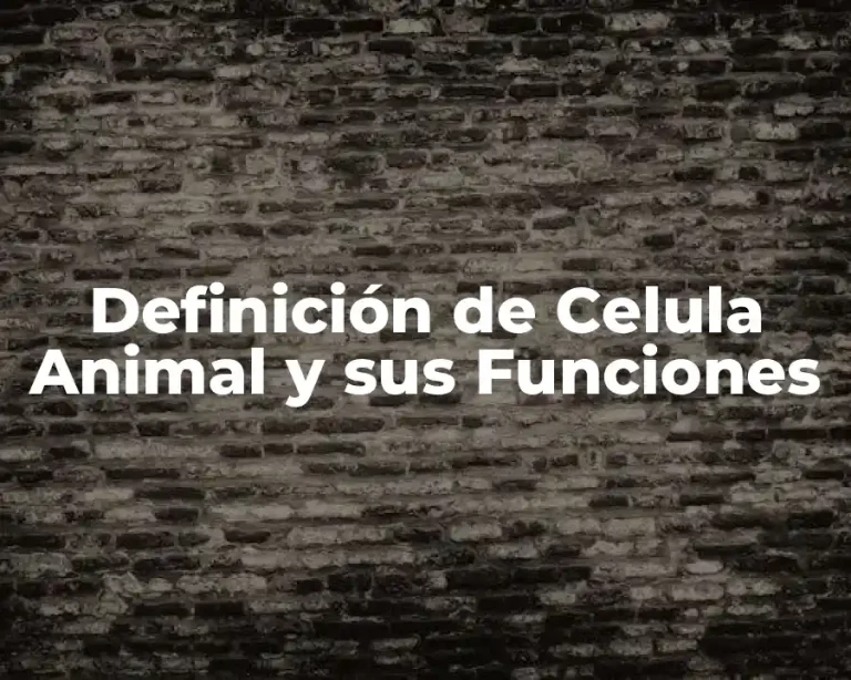 Definición de Celula Animal y sus Funciones