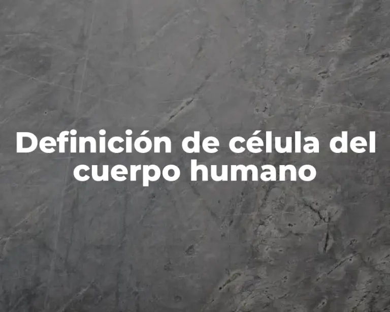 Definición de célula del cuerpo humano