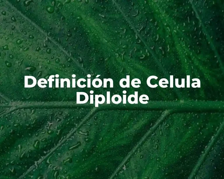 Definición de Celula Diploide