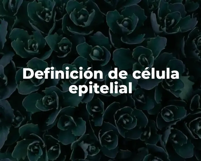 Definición de célula epitelial