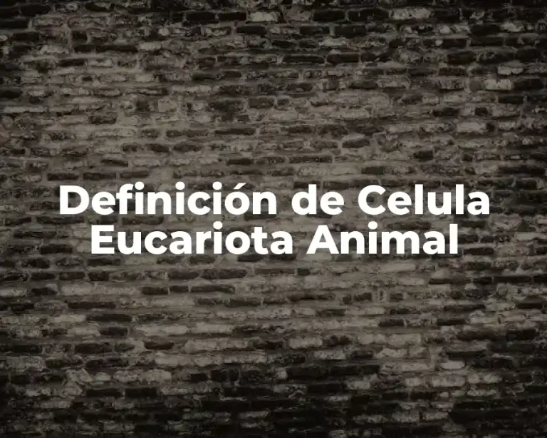 Definición de Celula Eucariota Animal