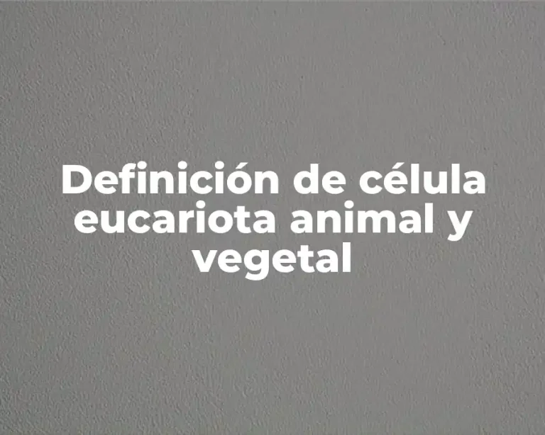 Definición de célula eucariota animal y vegetal