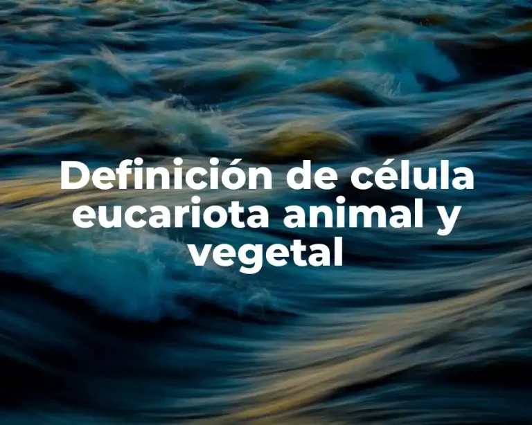 Definición de célula eucariota animal y vegetal