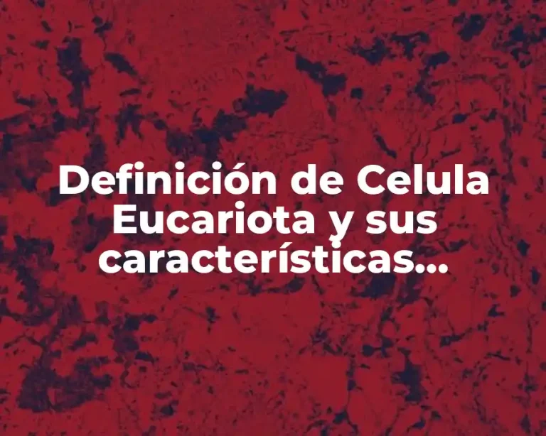 Definición de Celula Eucariota y sus características fundamentales