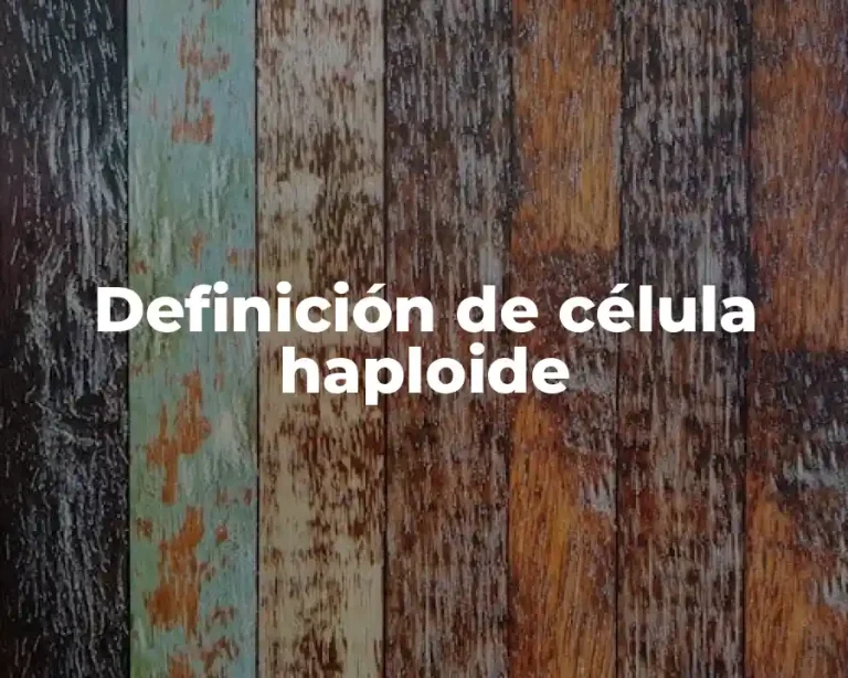 Definición de célula haploide