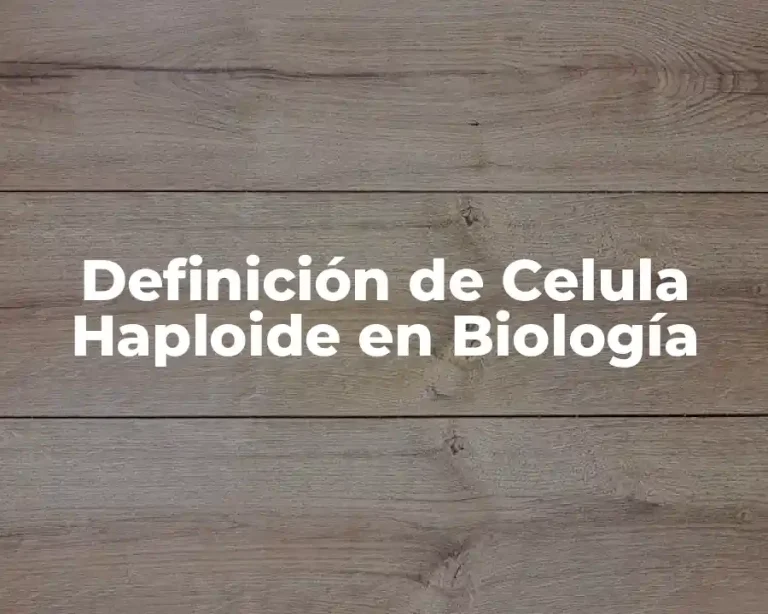Definición de Celula Haploide en Biología