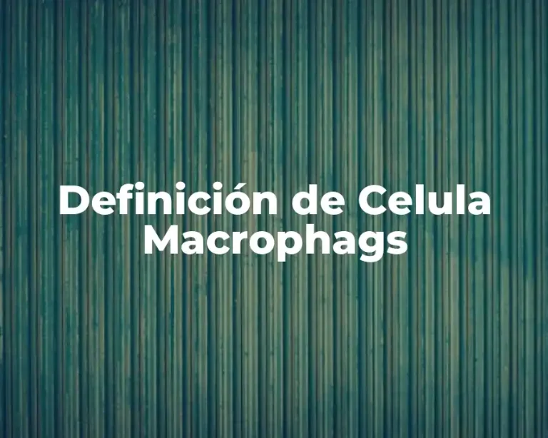 Definición de Celula Macrophags