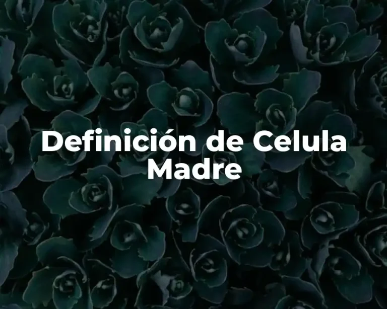Definición de Celula Madre