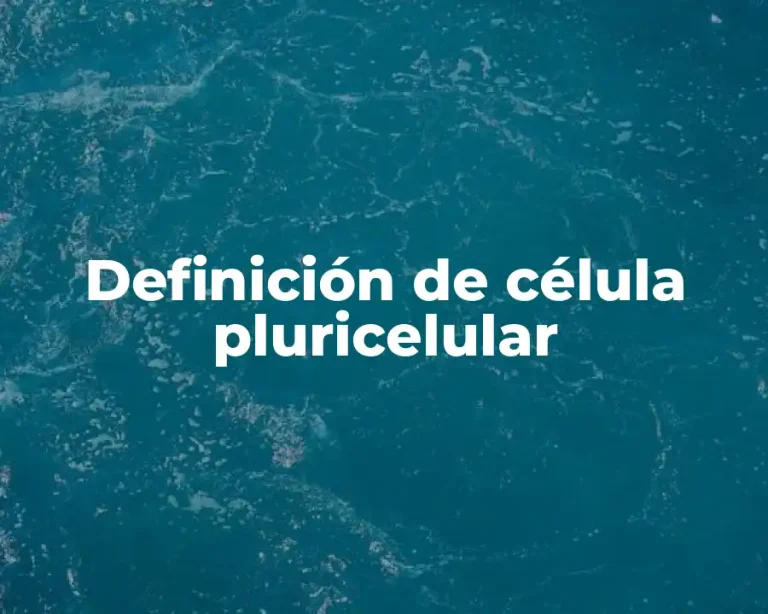 Definición de célula pluricelular