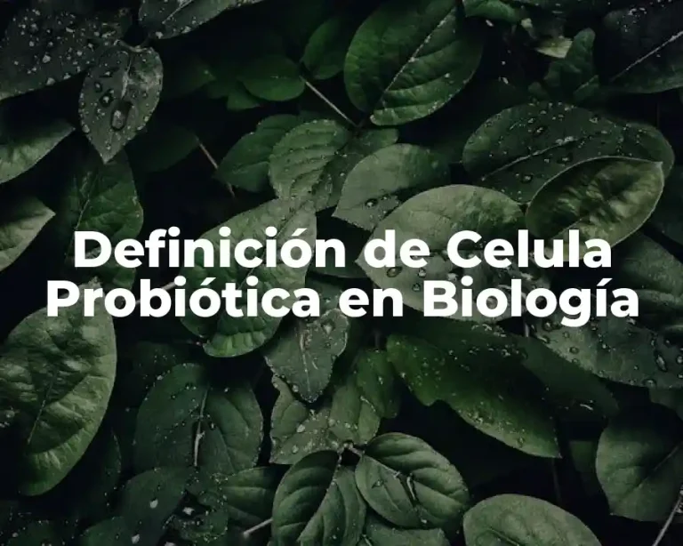 Definición de Celula Probiótica en Biología