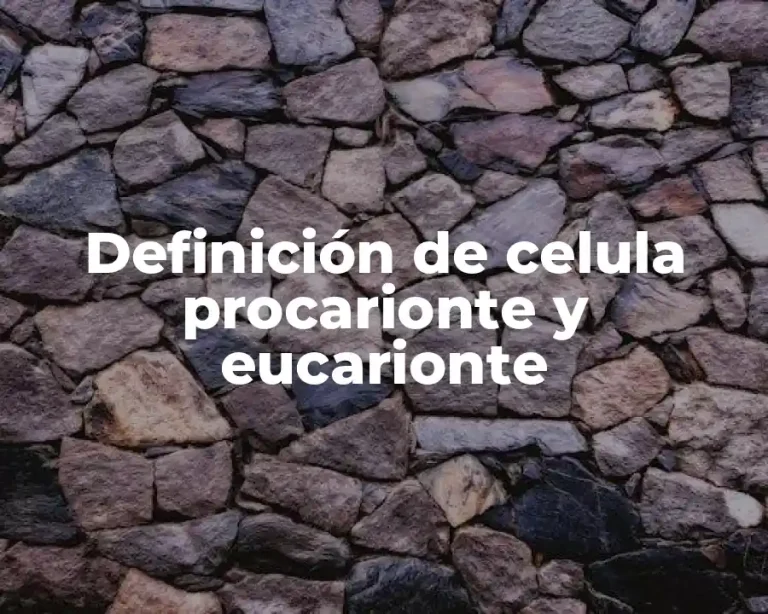 Definición de celula procarionte y eucarionte