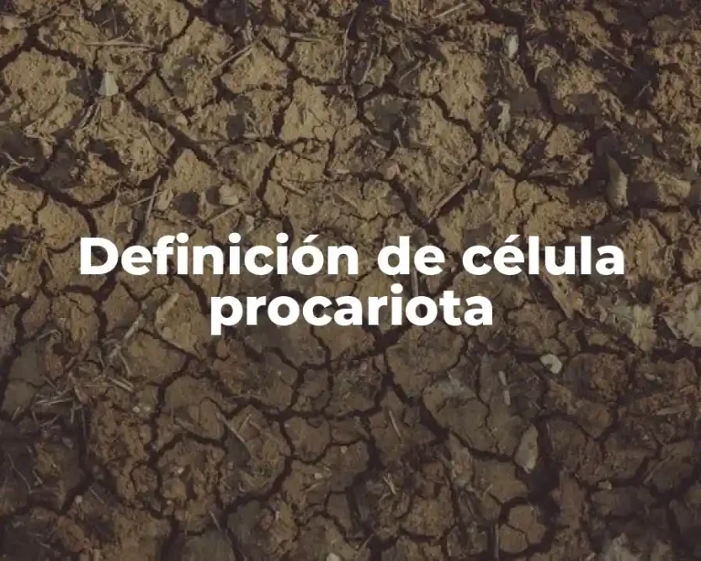 Definición de célula procariota