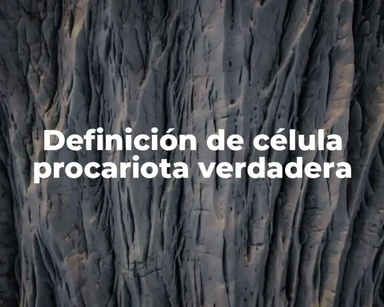 Definición de célula procariota verdadera