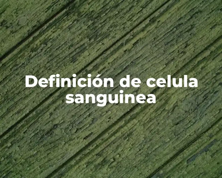 Definición de celula sanguinea