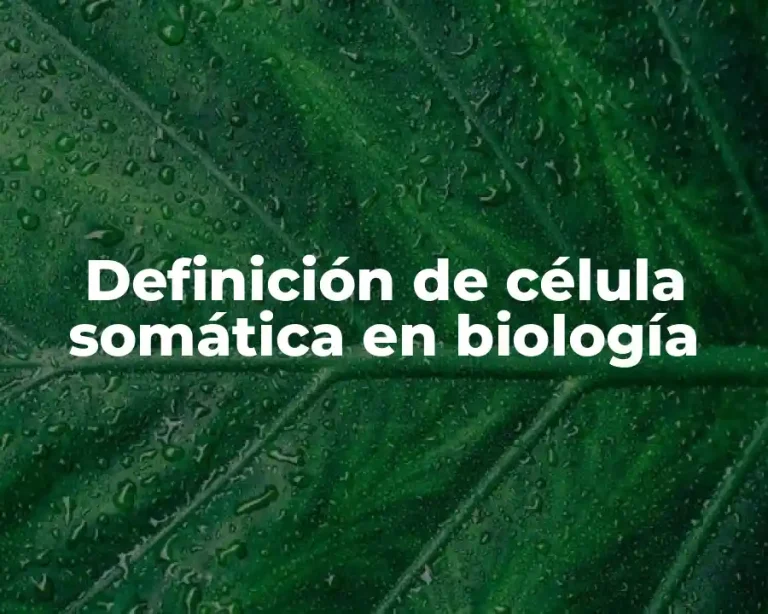 Definición de célula somática en biología
