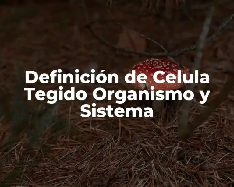 Definición de Celula Tegido Organismo y Sistema