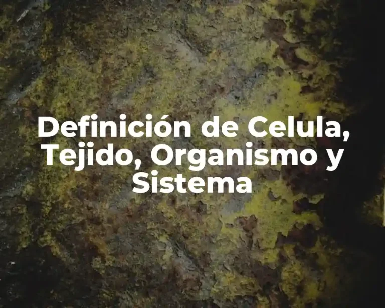 Definición de Celula, Tejido, Organismo y Sistema