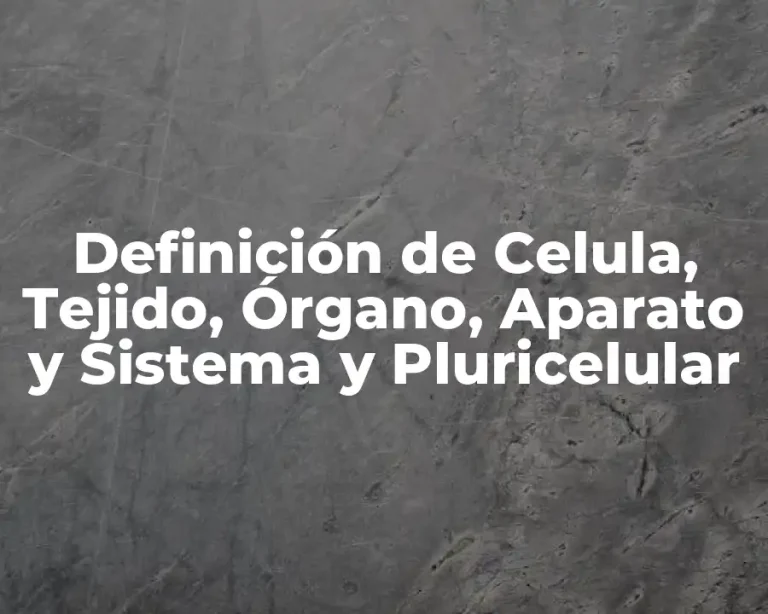Definición de Celula, Tejido, Órgano, Aparato y Sistema y Pluricelular