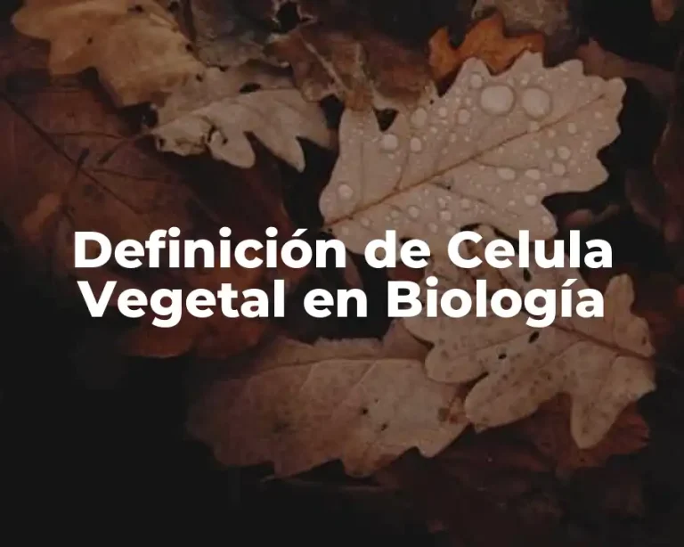 Definición de Celula Vegetal en Biología