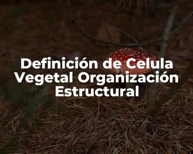 Definición de Celula Vegetal Organización Estructural