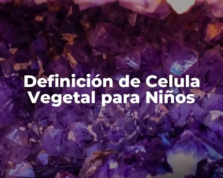Definición de Celula Vegetal para Niños