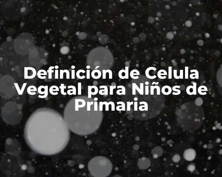 Definición de Celula Vegetal para Niños de Primaria