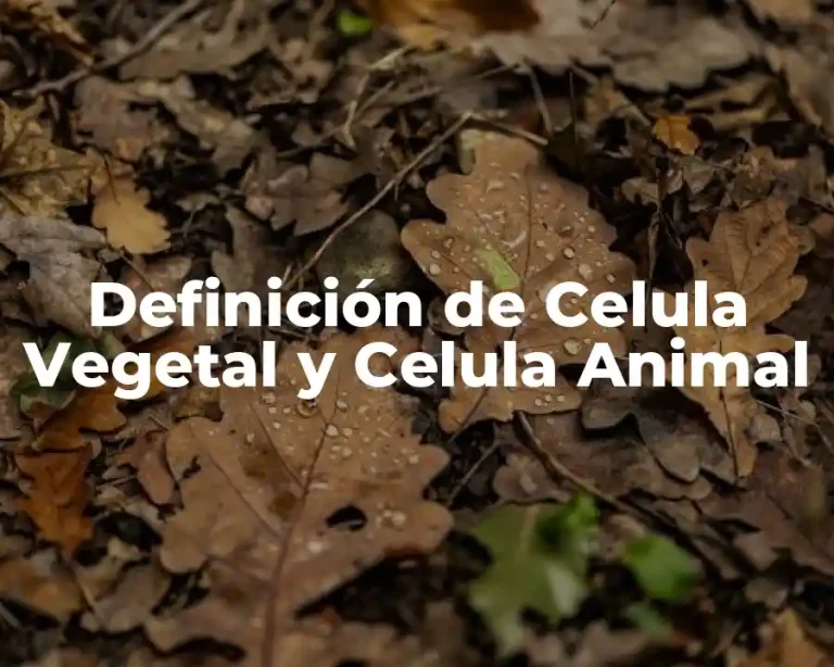 Definición de Celula Vegetal y Celula Animal