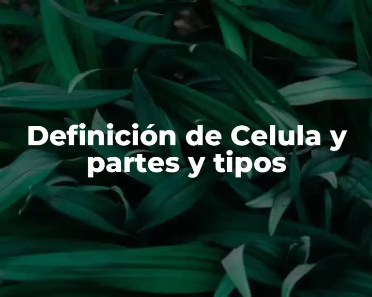 Definición de Celula y partes y tipos