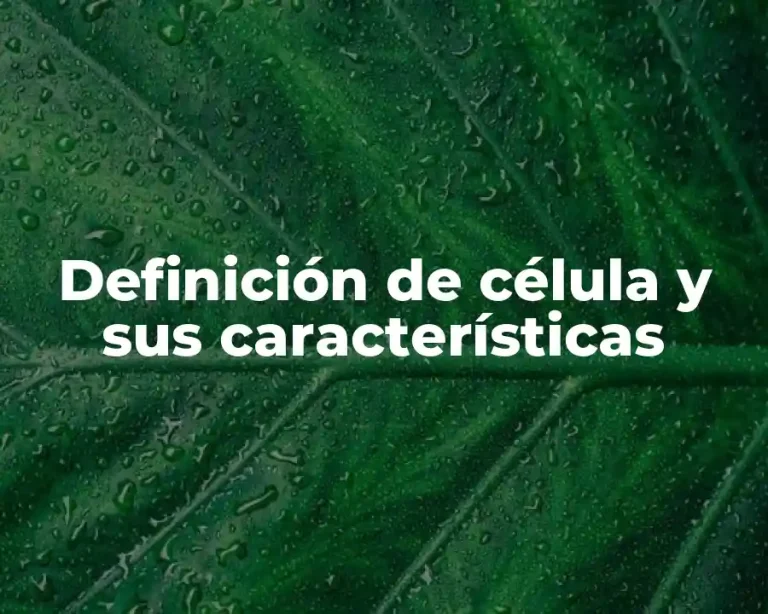 Definición de célula y sus características