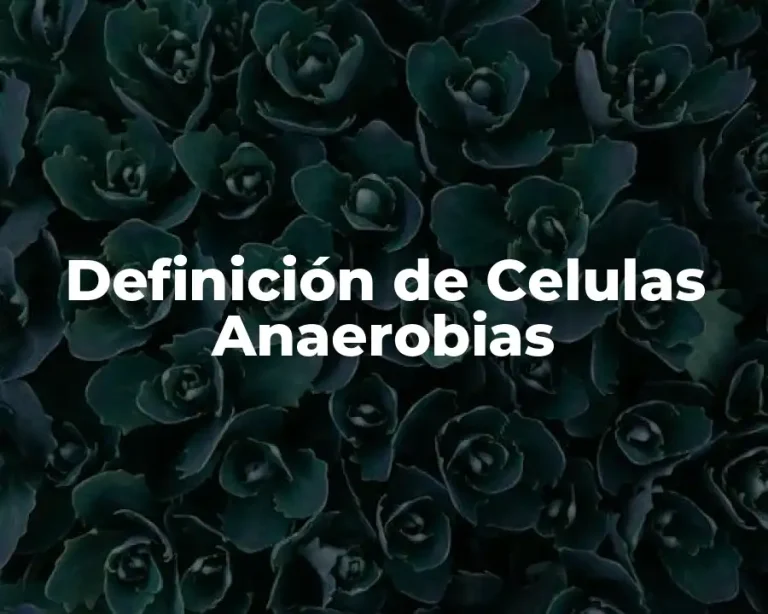 Definición de Celulas Anaerobias