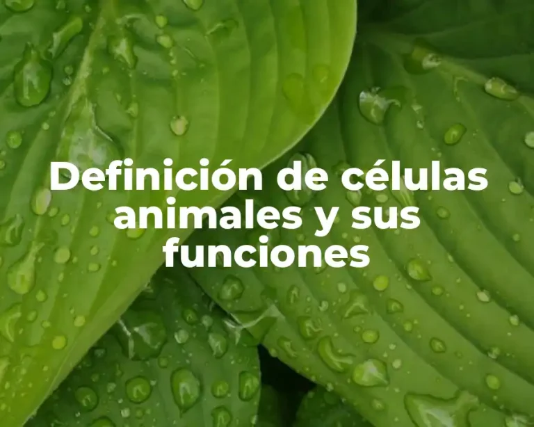 Definición de células animales y sus funciones