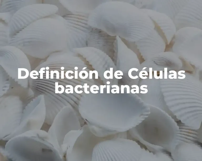 Definición de Células bacterianas