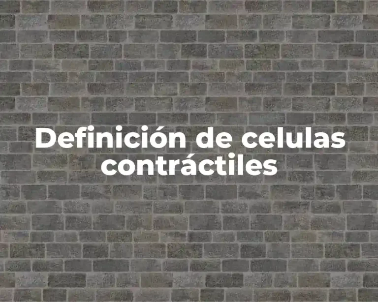 Definición de celulas contráctiles