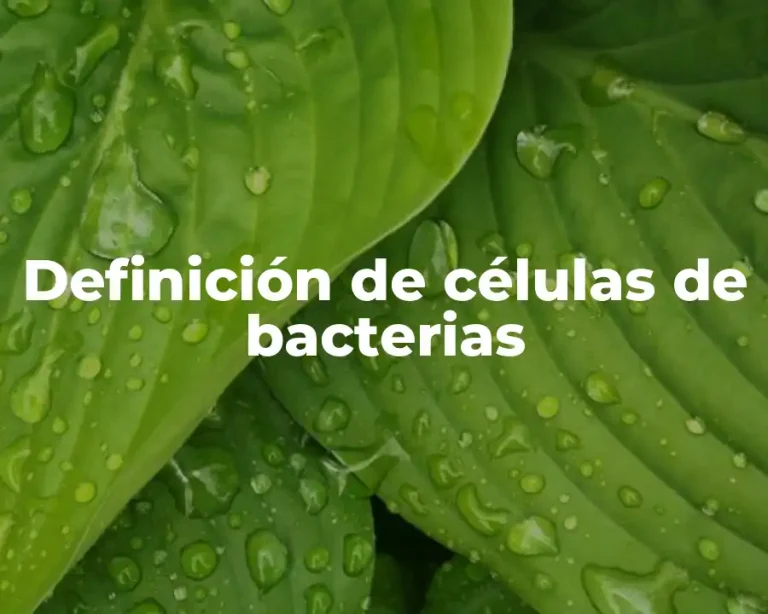Definición de células de bacterias