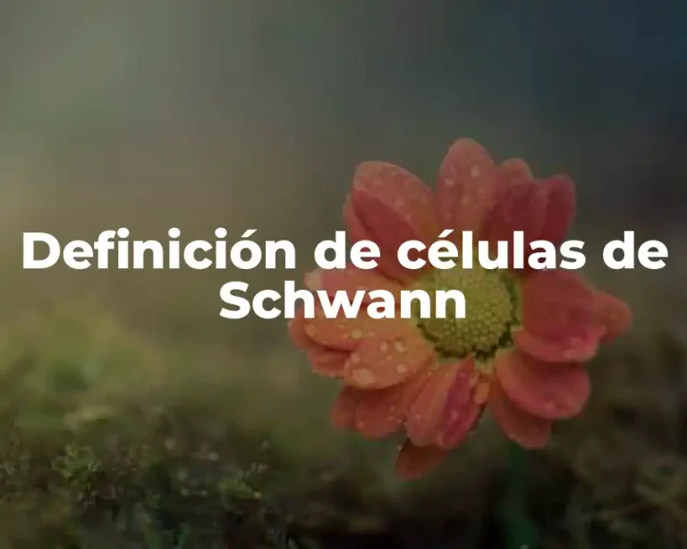 Definición de células de Schwann