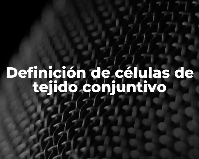 Definición de células de tejido conjuntivo