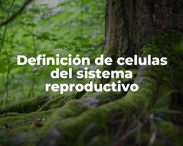 Definición de celulas del sistema reproductivo