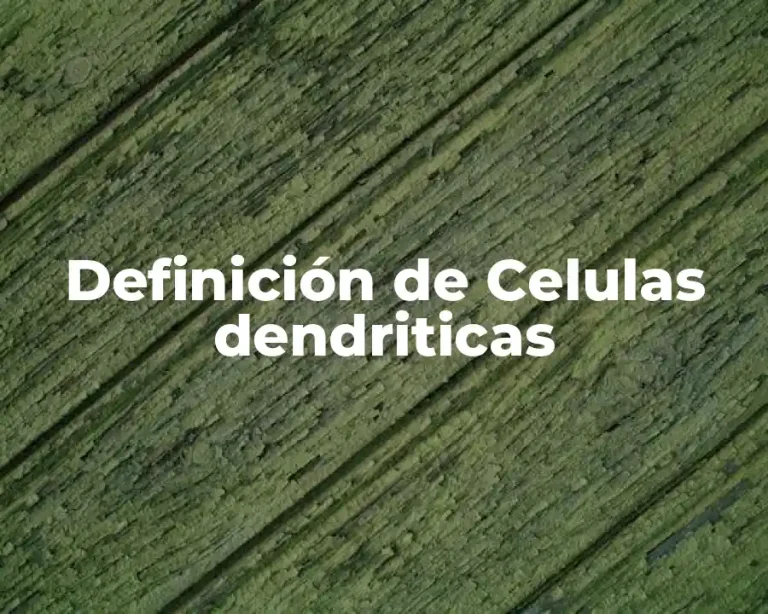 Definición de Celulas dendriticas