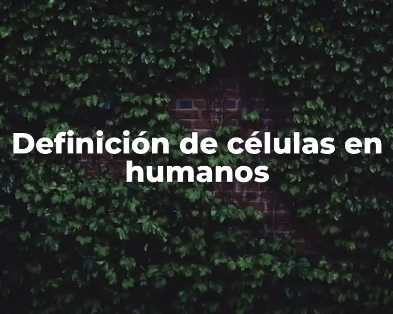 Definición de células en humanos