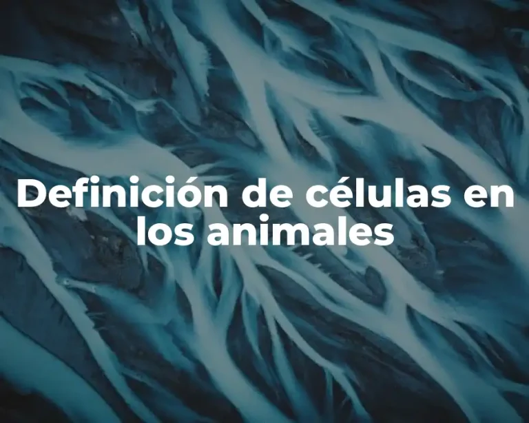 Definición de células en los animales