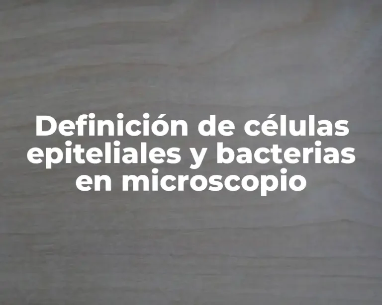 Definición de células epiteliales y bacterias en microscopio